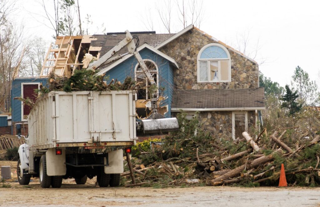 Tree Damage