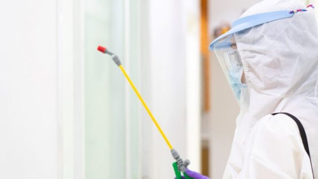 disinfection services