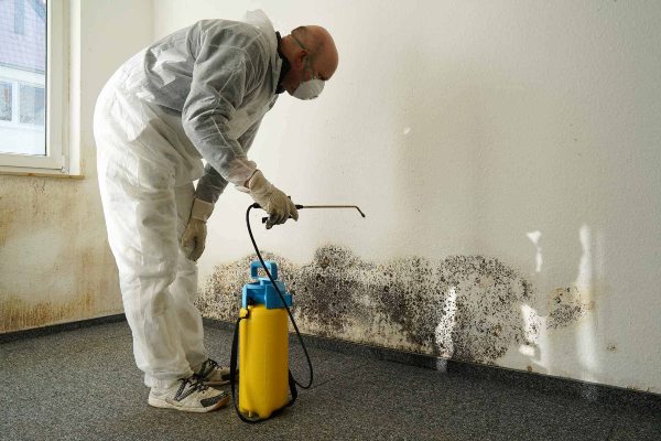 mold removal ashland or