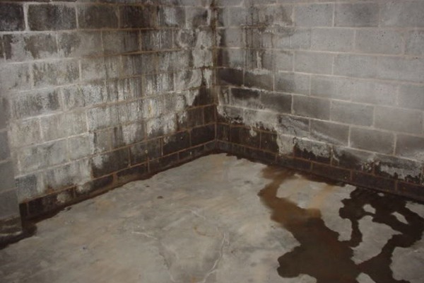 Basement Water Damage Services