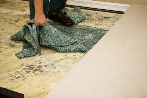 water damage cleanup company