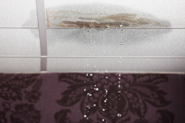 How to spot water damage
